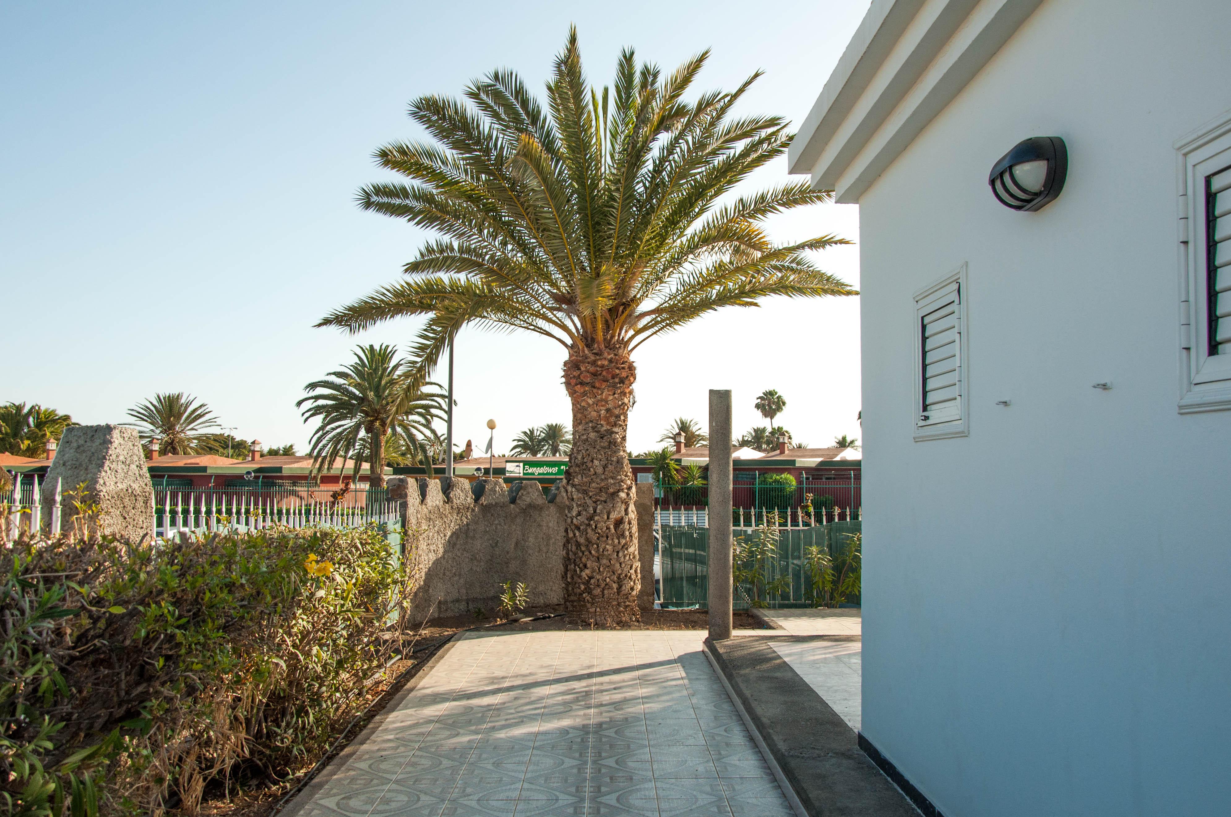 Bungalows Las Almenas Maspalomas (Gran Canaria) Exterior foto