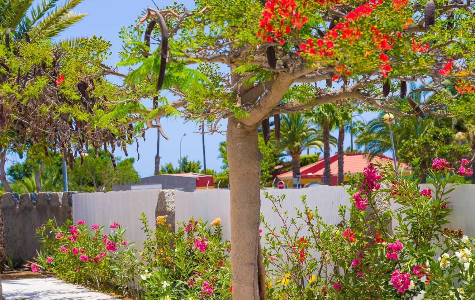 Bungalows Las Almenas Maspalomas (Gran Canaria) Exterior foto